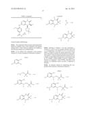 COMPOUNDS USEFUL AS PROTEIN KINASE INHIBITORS diagram and image