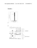 BIOLOGICAL MARKERS PREDICTIVE OF ANTI-CANCER RESPONSE TO EPIDERMAL GROWTH     FACTOR RECEPTOR KINASE INHIBITORS diagram and image