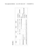 BIOLOGICAL MARKERS PREDICTIVE OF ANTI-CANCER RESPONSE TO EPIDERMAL GROWTH     FACTOR RECEPTOR KINASE INHIBITORS diagram and image