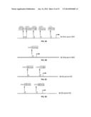 Method for Determining Hepatocellular Carcinoma Subtype and Detecting     Hepatic Cancer Stem Cells diagram and image