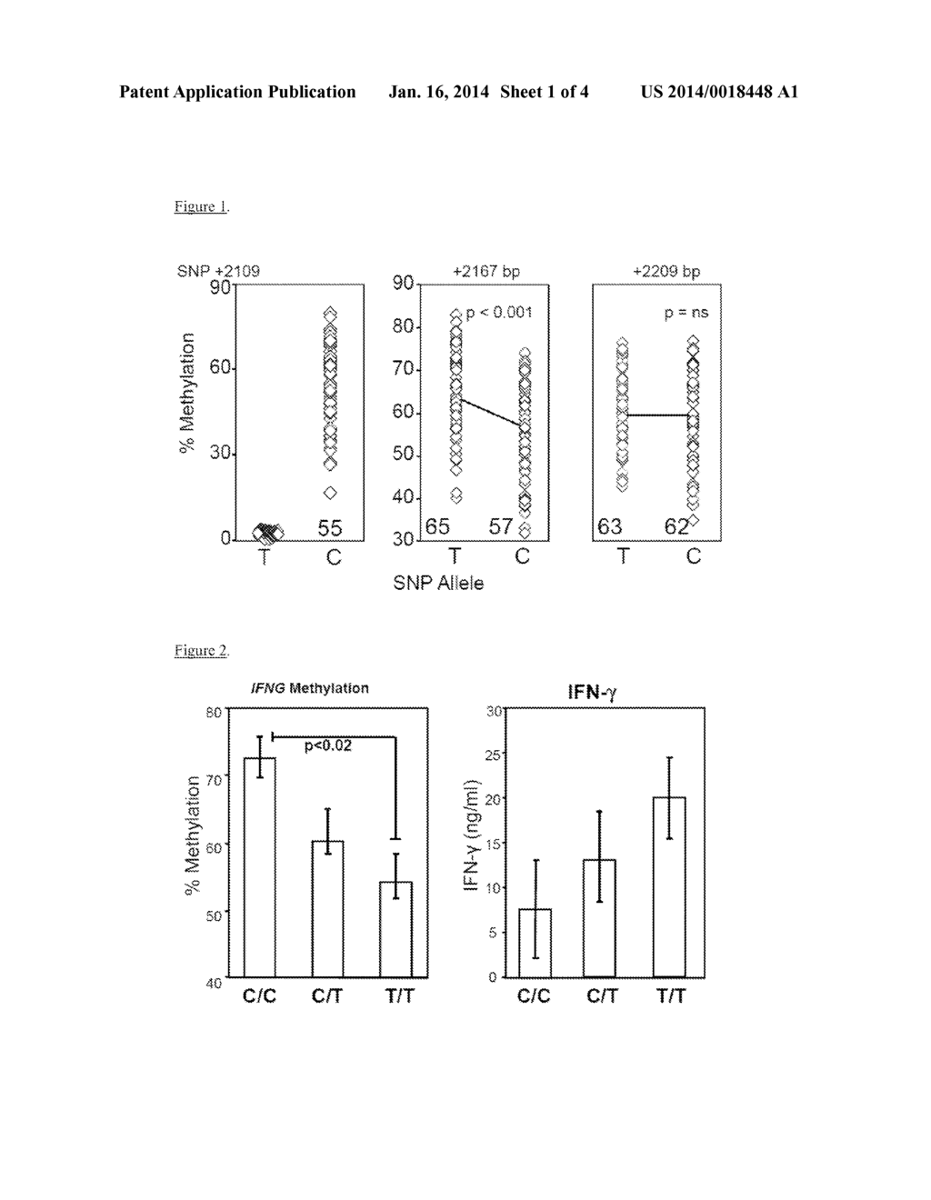 ROLE OF IFNG METHYLATION IN INFLAMMATORY BOWEL DISEASE - diagram, schematic, and image 02