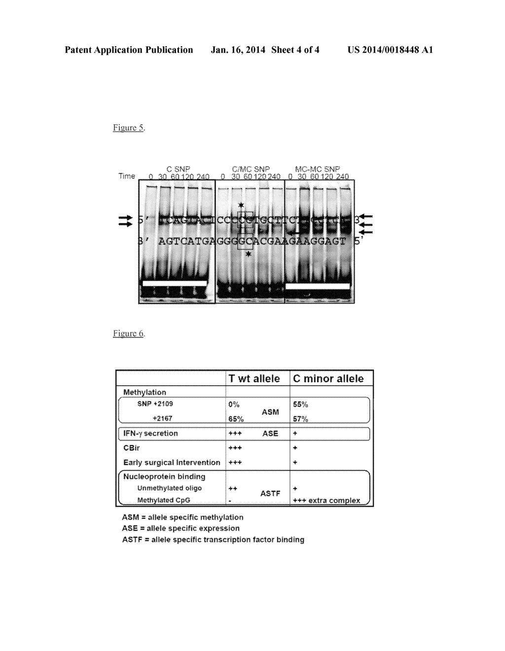 ROLE OF IFNG METHYLATION IN INFLAMMATORY BOWEL DISEASE - diagram, schematic, and image 05