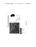 SYSTEM FOR ASSESSING TISSUE SUBSTANCE EXTRACTION diagram and image