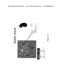 SYSTEM FOR ASSESSING TISSUE SUBSTANCE EXTRACTION diagram and image