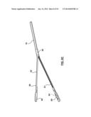 Devices and Systems for Carotid Body Ablation diagram and image