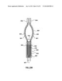 Devices and Systems for Carotid Body Ablation diagram and image