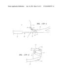 PRESHAPED LOCALIZATION CATHETER, SYSTEM, AND METHOD FOR GRAPHICALLY     RECONSTRUCTING PULMONARY VEIN OSTIA diagram and image