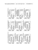 Novel Use of a Dense and Erect Panicle 1 Gene in Improving Nitrogen     Utilization Efficiency diagram and image