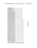 Novel Use of a Dense and Erect Panicle 1 Gene in Improving Nitrogen     Utilization Efficiency diagram and image