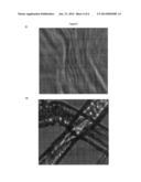 METHOD diagram and image