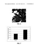 Bonded Abrasive Tool and Method of Forming diagram and image