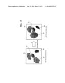 MODEL GENERATION METHOD AND MODEL GENERATION APPARATUS diagram and image