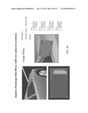 MIRROR ASSEMBLY WITH FORMED REFLECTIVE ELEMENT SUBSTRATE diagram and image