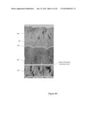 DEFECT-MITIGATION LAYERS IN ELECTROCHROMIC DEVICES diagram and image