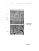 DEFECT-MITIGATION LAYERS IN ELECTROCHROMIC DEVICES diagram and image