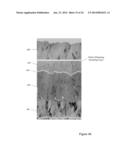 DEFECT-MITIGATION LAYERS IN ELECTROCHROMIC DEVICES diagram and image