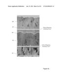 DEFECT-MITIGATION LAYERS IN ELECTROCHROMIC DEVICES diagram and image