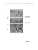 DEFECT-MITIGATION LAYERS IN ELECTROCHROMIC DEVICES diagram and image