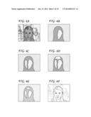 Digitally-Generated Lighting for Video Conferencing Applications diagram and image