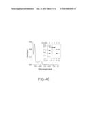 Human Cystathionine Beta-Synthase Variants and Methods of Production     Thereof diagram and image