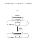 Methods of Modifying Eukaryotic Cells diagram and image