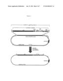 Methods of Modifying Eukaryotic Cells diagram and image