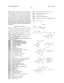 PYRROLIDINE-FUSED THIADIAZINE DIOXIDE COMPOUNDS AS BACE INHIBITORS,     COMPOSITIONS, AND THEIR USE diagram and image