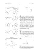 PYRROLIDINE-FUSED THIADIAZINE DIOXIDE COMPOUNDS AS BACE INHIBITORS,     COMPOSITIONS, AND THEIR USE diagram and image