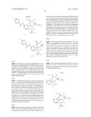 PYRROLIDINE-FUSED THIADIAZINE DIOXIDE COMPOUNDS AS BACE INHIBITORS,     COMPOSITIONS, AND THEIR USE diagram and image