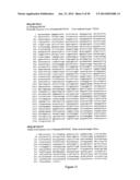 INFLUENZA HEMAGGLUTININ AND NEURAMINIDASE VARIANTS diagram and image