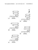 Vaccine Against Pasteurellaceae diagram and image