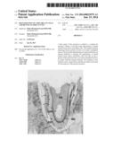 REGENERATION OF AMELOBLAST CELLS AND DENTAL ENAMEL IN VIVO diagram and image