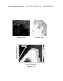 APPARATUS AND METHODS FOR MULTIPHOTON MICROSCOPY diagram and image