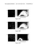 APPARATUS AND METHODS FOR MULTIPHOTON MICROSCOPY diagram and image