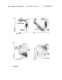 Methods and Means for Monitoring Disruption of Tissue Homeostasis in the     Total Body diagram and image