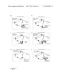 Methods and Means for Monitoring Disruption of Tissue Homeostasis in the     Total Body diagram and image