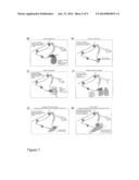 Methods and Means for Monitoring Disruption of Tissue Homeostasis in the     Total Body diagram and image