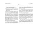 COMPOSITIONS, REACTION MIXTURES AND METHODS FOR DETECTING NUCLEIC ACIDS     FROM MULTIPLE TYPES OF HUMAN PAPILLOMAVIRUS. diagram and image