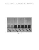 METALLIC NANOPARTICLE SYNTHESIS WITH CARBOHYDRATE CAPPING AGENT diagram and image