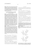 PRESELECTION OF SUBJECTS FOR THERAPEUTIC TREATMENT WITH OXYGEN SENSITIVE     AGENTS BASED IN HYPOXIC STATUS diagram and image