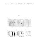 NOVEL PRIMERS FOR DETECTING HUMAN CHROMOSOME END-TO-END TELEMORE FUSION diagram and image