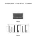 METHODS FOR QUANTIFYING MICRORNA PRECURSORS diagram and image