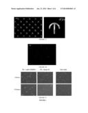 SOFT SUBSTRATE FOR CELL CULTURE AND PROCESS FOR PREPARING THE SAME diagram and image