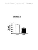 BIOMARKERS FOR DETECTION AND DIAGNOSIS OF HEAD AND NECK SQUAMOUS CELL     CARCINOMA diagram and image