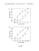 Mammalian Sweet and Amino Acid Heterodimeric Taste Receptors Comprising     T1R3 and T1R1 diagram and image