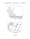 Mammalian Sweet and Amino Acid Heterodimeric Taste Receptors Comprising     T1R3 and T1R1 diagram and image