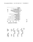 Mammalian Sweet and Amino Acid Heterodimeric Taste Receptors Comprising     T1R3 and T1R1 diagram and image