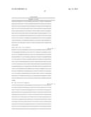 Mammalian Sweet and Amino Acid Heterodimeric Taste Receptors Comprising     T1R3 and T1R1 diagram and image