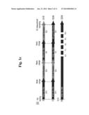 CELL CYCLE MEASURING METHOD BASED ON AN ELECTROCHEMICAL METHOD diagram and image