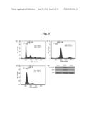 CELL CYCLE MEASURING METHOD BASED ON AN ELECTROCHEMICAL METHOD diagram and image